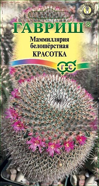 Ц Маммиллярия Красотка Гавриш