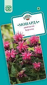 Ф Монарда Бергама двойчатая Гавриш