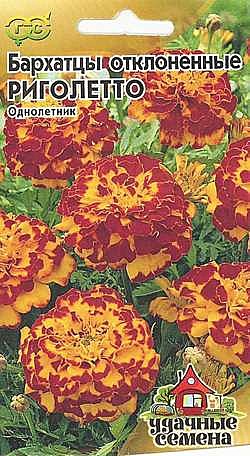 Ц Барх Риголетто Уд.с.