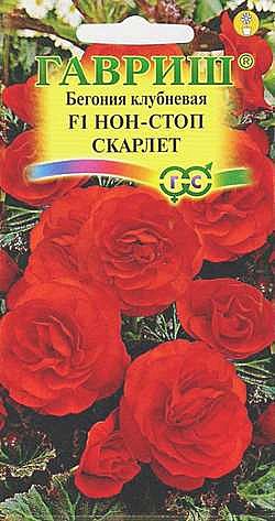 Ц Бегония Нон Стоп Скарлет Гавриш