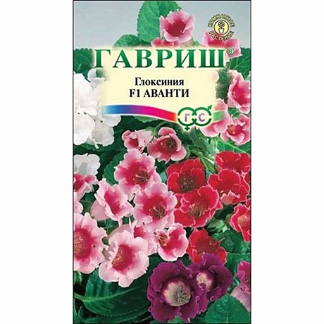 Ц Глоксиния Аванти  Гавриш