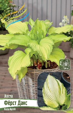 Изображение товара