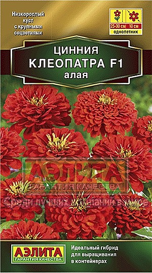 Ц Цинния Клеопатра алая Аэлита