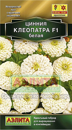 Ц Цинния Клеопатра белая Аэлита