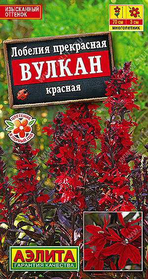 Ц Лобелия Вулкан красная Аэлита