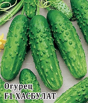 Огурец Хасбулат 100шт Гавриш