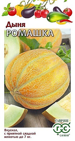Дыня Ромашка Гавриш