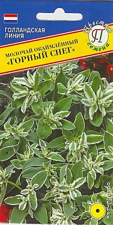 Ц Молочай Горный снег Престиж