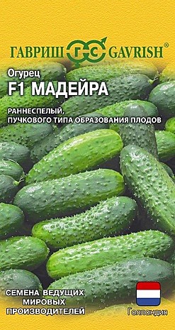 О Мадейра Гавриш