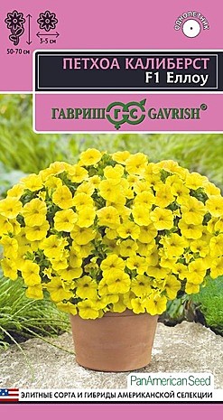 Ц Петхоа Калиберст Еллоу Гавриш