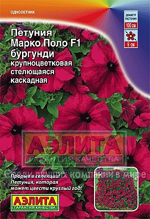 Ц П Марко Поло бургунди Аэлита