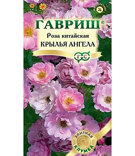 Ц Роза Крылья ангела  Гавриш