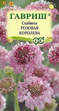 Ц Скабиоза Розовая королева Гавриш