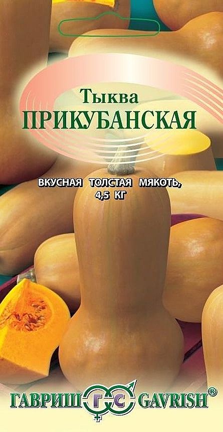 Тыква Прикубанская мускатная Гавриш