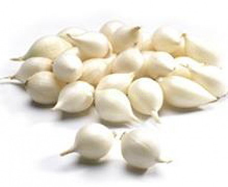 Лук-севок Стардаст 1кг 