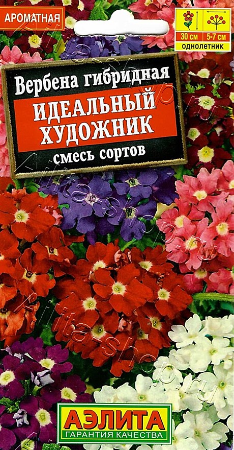 Ц Вербена Идеальный художник смесь Аэлита