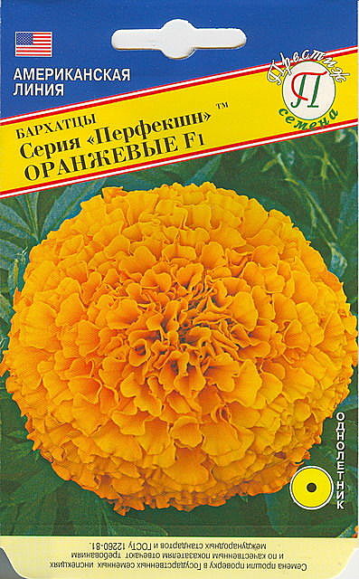 Ц Барх Перфекшн оранж 5шт Престиж