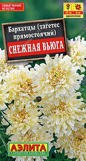 Ц Барх Снежная вьюга Аэлита