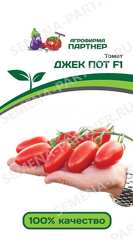 Т Джек Пот Партнер