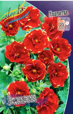 Изображение товара