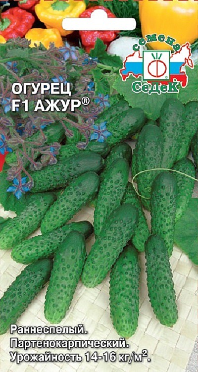 Б Ажур Седек