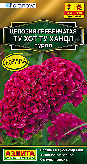 Ц Целозия Ту хот ту хандл пурпл гребенчатая Аэлита
