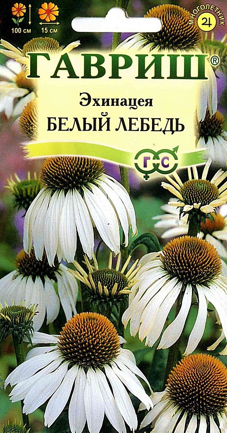 Ц Эхинацея Белый лебедь Гавриш