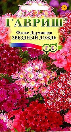 Ц Флокс Звездный Дождь Гавриш