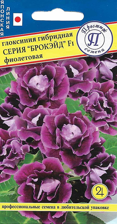 Ц Глоксиния Брокэйд фиолетовая Престиж