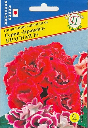 Ц Глоксиния Брокэйд Красная Престиж