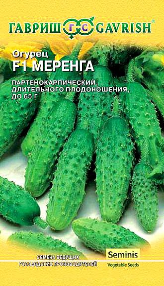 О Меренга Голландия Гавриш