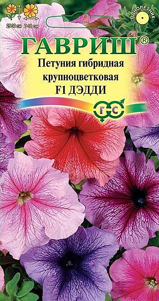 Ц П Дедди Гавриш