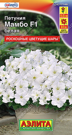 Ц П Мамбо белая многоцветковая Аэлита