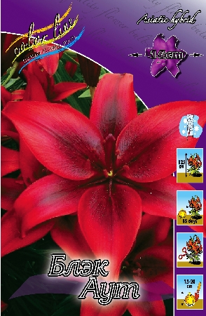 Изображение товара