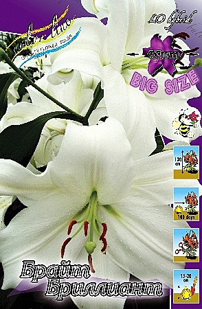 1230 Лилия Брайт Бриллиант Ло 5шт /1шт