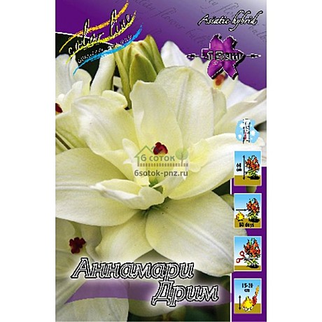 3647 Лилия Аннамари Дрим азиат 5шт /1шт