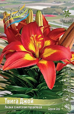 5473 Лилия Фэншуй 7шт/1шт