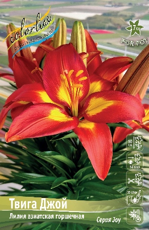 Изображение товара