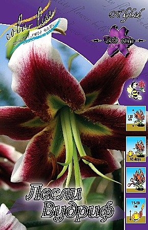 9824 Лилия Лесли Вудриф  от 5шт/1шт