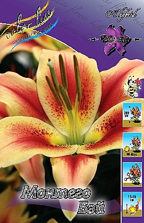 9831 Лилия Монтего бей от 5шт/1шт