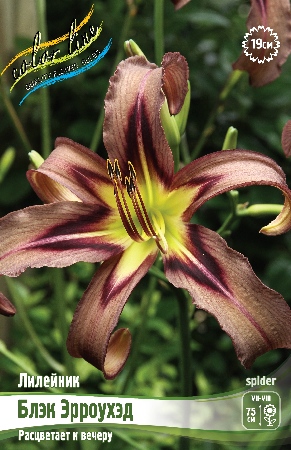 Изображение товара