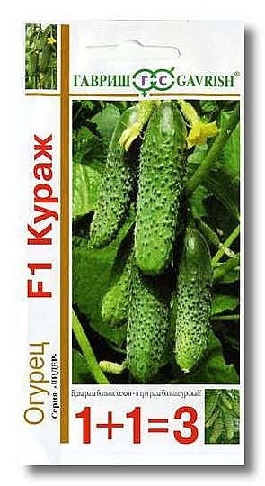 О Кураж 1+1 Гавриш