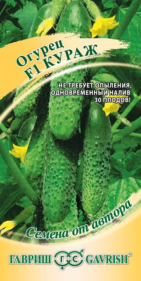 О Кураж Гавриш