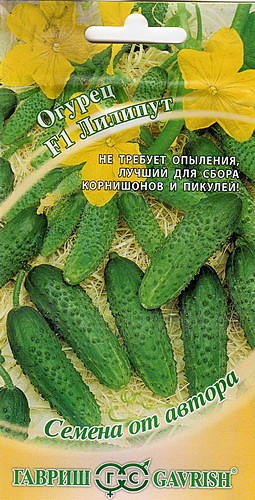 О Лилипут Гавриш