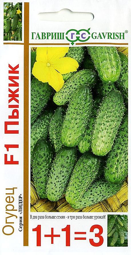 О Пыжик 1+1 Гавриш