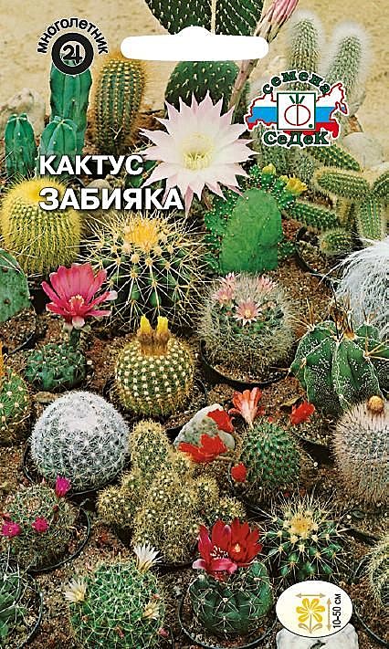 Ц Кактус Забияка смесь Седек