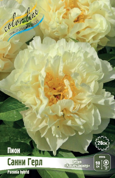 Изображение товара