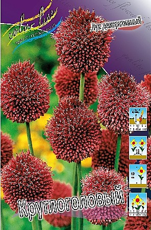 Лук декоративный