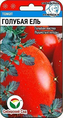 Т Голубая ель Сиб сад