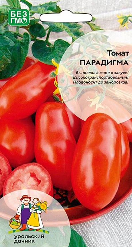 Т Парадигма УД